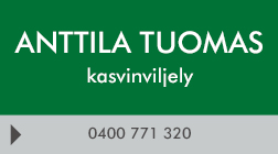 Anttila Tuomas logo